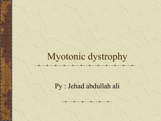 Myotonic dystrophy
Py : Jehad abdullah ali
 