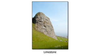 Limestone
 