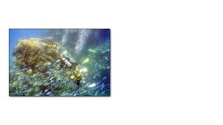 What is the evidence for Plate Tectonics?