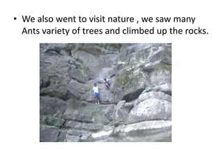 • We also went to visit nature , we saw many 
Ants variety of trees and climbed up the rocks. 
 