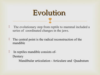 
 The evolutionary step from reptile to mammal included a
series of coordinated changes in the jaws.
 The central point is the radical reconstruction of the
mandible
 In reptiles mandible consists of-
Dentary
Mandibular articulation - Articulare and Quadratum
EvolutionEvolution
 