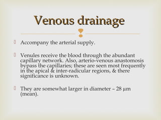 
 Accompany the arterial supply.
 Venules receive the blood through the abundant
capillary network. Also, arterio-venous anastomosis
bypass the capillaries; these are seen most frequently
in the apical & inter-radicular regions, & there
significance is unknown.
 They are somewhat larger in diameter – 28 µm
(mean).
Venous drainageVenous drainage
 