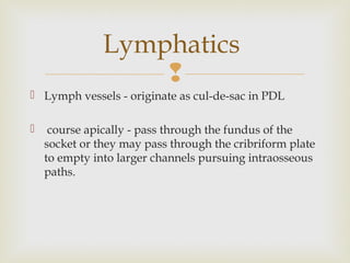 
 Lymph vessels - originate as cul-de-sac in PDL
 course apically - pass through the fundus of the
socket or they may pass through the cribriform plate
to empty into larger channels pursuing intraosseous
paths.
Lymphatics
 