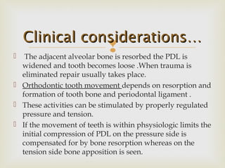  The adjacent alveolar bone is resorbed the PDL is
widened and tooth becomes loose .When trauma is
eliminated repair usually takes place.
 Orthodontic tooth movement depends on resorption and
formation of tooth bone and periodontal ligament .
 These activities can be stimulated by properly regulated
pressure and tension.
 If the movement of teeth is within phsysiologic limits the
initial compression of PDL on the pressure side is
compensated for by bone resorption whereas on the
tension side bone apposition is seen.
Clinical considerations…Clinical considerations…
 