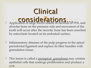  Application of large forces results in necrosis of PDL and
alveolar bone on the pressure side and movement of the
tooth will occur after the necrotic bone has been resorbed
by osteoclasts located on its endosteal surface.
 Inflammatory diseases of the pulp progress to the apical
periodontal ligament and replace its fiber bundles with
granulation tissue .
 This lesion is called a periapical granuloma may contain
epithelial cells that undergo proliferation and produce a
cyst .
ClinicalClinical
considerations…considerations…
 
