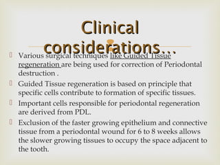  Various surgical techniques like Guided Tissue
regeneration are being used for correction of Periodontal
destruction .
 Guided Tissue regeneration is based on principle that
specific cells contribute to formation of specific tissues.
 Important cells responsible for periodontal regeneration
are derived from PDL.
 Exclusion of the faster growing epithelium and connective
tissue from a periodontal wound for 6 to 8 weeks allows
the slower growing tissues to occupy the space adjacent to
the tooth.
ClinicalClinical
considerations…considerations…
 