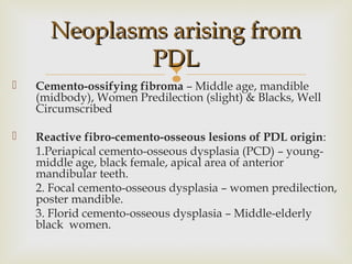  Cemento-ossifying fibroma – Middle age, mandible
(midbody), Women Predilection (slight) & Blacks, Well
Circumscribed
 Reactive fibro-cemento-osseous lesions of PDL origin:
1.Periapical cemento-osseous dysplasia (PCD) – young-
middle age, black female, apical area of anterior
mandibular teeth.
2. Focal cemento-osseous dysplasia – women predilection,
poster mandible.
3. Florid cemento-osseous dysplasia – Middle-elderly
black women.
Neoplasms arising fromNeoplasms arising from
PDLPDL
 