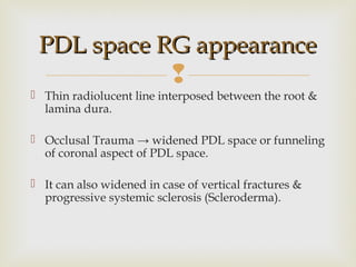 
 Thin radiolucent line interposed between the root &
lamina dura.
 Occlusal Trauma → widened PDL space or funneling
of coronal aspect of PDL space.
 It can also widened in case of vertical fractures &
progressive systemic sclerosis (Scleroderma).
PDL space RG appearancePDL space RG appearance
 
