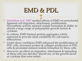 Gestrelium et al, 1997 studied effects of EMD on periodontal
ligament cell migration, attachment, proliferation,
biosynthetic activity mineral nodule formation & ability to
absorb a large range of polypeptide growth factors &
cytokine.
 In culture, EMD formed protein aggregates which
appeared to provide ideal conditions for cell-matrix
interactions.
 Under these conditions EMD enhanced the proliferation of
PDL cells, increased protein & collagen production of PDL
cells & promoted mineral nodule formation by these cells.
 However, no effect on migration, attachment & spreading
of these cells nor did they absorb any of the growth factor
or cytokine that were tested.
EMD & PDLEMD & PDL
 