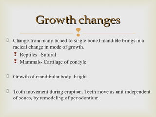  Change from many boned to single boned mandible brings in a
radical change in mode of growth.
 Reptiles –Sutural
 Mammals- Cartilage of condyle
 Growth of mandibular body height
 Tooth movement during eruption. Teeth move as unit independent
of bones, by remodeling of periodontium.
Growth changesGrowth changes
 