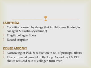 LATHYRISM
 Condition caused by drugs that inhibit cross linking in
collagen & elastin (cystamine)
 Fragile collagen fibers
 Retard eruption
DISUSE ATROPHY
 Narrowing of PDL & reduction in no. of principal fibers.
 Fibers oriented parallel to the long. Axis of root & PDL
shows reduced rate of collagen turn over.
 