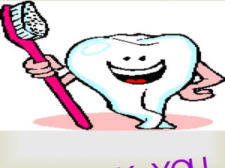 PDL, PERIODONTAL LIGAMENT. 