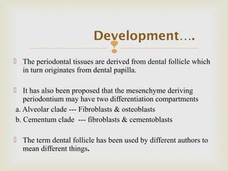 
 The periodontal tissues are derived from dental follicle which
in turn originates from dental papilla.
 It has also been proposed that the mesenchyme deriving
periodontium may have two differentiation compartments
a. Alveolar clade --- Fibroblasts & osteoblasts
b. Cementum clade --- fibroblasts & cementoblasts
 The term dental follicle has been used by different authors to
mean different things.
Development….
 