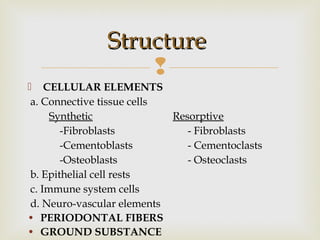 
 CELLULAR ELEMENTS
a. Connective tissue cells
Synthetic Resorptive
-Fibroblasts - Fibroblasts
-Cementoblasts - Cementoclasts
-Osteoblasts - Osteoclasts
b. Epithelial cell rests
c. Immune system cells
d. Neuro-vascular elements
• PERIODONTAL FIBERS
• GROUND SUBSTANCE
StructureStructure
 