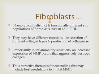  Phenotypically distinct & functionally different sub
populations of fibroblasts exist in adult PDL.
 They may have different functions like secretion of
different collagen types & production of collagenase.
 Importantly in inflammatory situations, an increased
expression of MMP occurs that aggressively destroys
collagen.
 Thus attractive therapies for controlling this may
include host modulators to inhibit MMP.
Fibroblasts…
 
