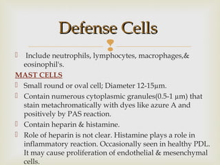  Include neutrophils, lymphocytes, macrophages,&
eosinophil's.
MAST CELLS
 Small round or oval cell; Diameter 12-15µm.
 Contain numerous cytoplasmic granules(0.5-1 µm) that
stain metachromatically with dyes like azure A and
positively by PAS reaction.
 Contain heparin & histamine.
 Role of heparin is not clear. Histamine plays a role in
inflammatory reaction. Occasionally seen in healthy PDL.
It may cause proliferation of endothelial & mesenchymal
cells.
Defense CellsDefense Cells
 
