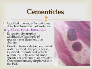 
CementiclesCementicles
 Calcified masses, adherent to or
detached from the root surfaces
(O.J. Mikola, Wm.H. Bauer,1949)
 Represent dystrophic
calcification (example of
regressive or degenerative
change)
 Develop from: calcified epithelial
rests, calcified Sharpey’s fibers,
Calcified, thrombosed vessels
within the PDL, around small
spicules of cementum or alveolar
bone traumatically displaced into
the PDL
 