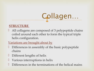 
STRUCTURE
 All collagens are composed of 3 polypeptide chains
coiled around each other to form the typical triple
helix configuration.
Variations are brought about by
 Differences in assembly of the basic polypeptide
chains
 Different lengths of helix
 Various interruptions in helix
 Differences in the terminations of the helical mains
Collagen…
 
