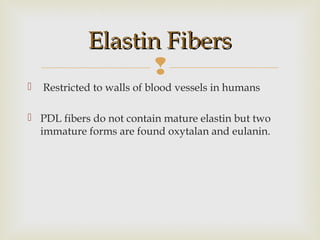 
Elastin FibersElastin Fibers
 Restricted to walls of blood vessels in humans
 PDL fibers do not contain mature elastin but two
immature forms are found oxytalan and eulanin.
 