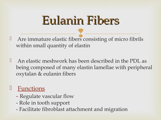  Are immature elastic fibers consisting of micro fibrils
within small quantity of elastin
 An elastic meshwork has been described in the PDL as
being composed of many elastin lamellae with peripheral
oxytalan & eulanin fibers
 Functions
- Regulate vascular flow
- Role in tooth support
- Facilitate fibroblast attachment and migration
Eulanin FibersEulanin Fibers
 