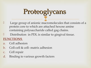 Large group of anionic macromolecules that consists of a
protein core to which are attached hexose amine
containing polysaccharide called gag chains.
 Distribution in PDL is similar to gingival tissue.
FUNCTIONS
a. Cell adhesion
b. Cell-cell & cell- matrix adhesion
c. Cell repair
d. Binding to various growth factors
ProteoglycansProteoglycans
 
