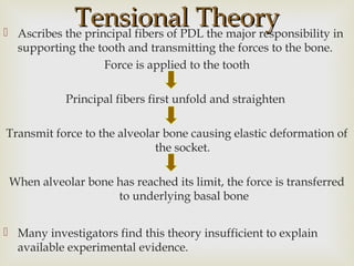Tensional TheoryTensional Theory Ascribes the principal fibers of PDL the major responsibility in
supporting the tooth and transmitting the forces to the bone.
Force is applied to the tooth
Principal fibers first unfold and straighten
Transmit force to the alveolar bone causing elastic deformation of
the socket.
When alveolar bone has reached its limit, the force is transferred
to underlying basal bone
 Many investigators find this theory insufficient to explain
available experimental evidence.
 