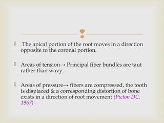 
 The apical portion of the root moves in a direction
opposite to the coronal portion.
 Areas of tension→ Principal fiber bundles are taut
rather than wavy.
 Areas of pressure→ fibers are compressed, the tooth
is displaced & a corresponding distortion of bone
exists in a direction of root movement (Picton DC,
1967)
 