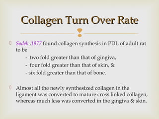 
 Sodek ,1977 found collagen synthesis in PDL of adult rat
to be
- two fold greater than that of gingiva,
- four fold greater than that of skin, &
- six fold greater than that of bone.
 Almost all the newly synthesized collagen in the
ligament was converted to mature cross linked collagen,
whereas much less was converted in the gingiva & skin.
Collagen Turn Over RateCollagen Turn Over Rate
 