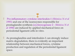  Pro-inflammatory cytokine interleukin-1 (Shimizu N et al
1995) and one of the isoenzymes responsible for
prostaglandin synthesis (cyclooxygenase 2 - Shimizu N et
al 1998) are induced by applied mechanical force on
periodontal ligament cells in vitro.
 As prostaglandins and interleukin-1 can strongly induce
matrix degradation, there is evidently an important
relationship between mechanical forces, cytokine
production and regulation of the periodontal ligament
space.
 