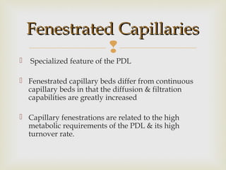 
 Specialized feature of the PDL
 Fenestrated capillary beds differ from continuous
capillary beds in that the diffusion & filtration
capabilities are greatly increased
 Capillary fenestrations are related to the high
metabolic requirements of the PDL & its high
turnover rate.
Fenestrated CapillariesFenestrated Capillaries
 