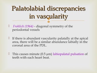 
 Frohlich (1964) - diagonal symmetry of the
periodontal vessels
 If there is abundant vascularity palatally at the apical
area, there will be a similar abundance labially in the
coronal area of the PDL.
 This causes minute (0.5 µm) labiopalatal pulsation of
teeth with each heart beat.
Palatolabial discrepanciesPalatolabial discrepancies
in vascularityin vascularity
 