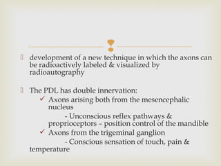 development of a new technique in which the axons can
be radioactively labeled & visualized by
radioautography
 The PDL has double innervation:
 Axons arising both from the mesencephalic
nucleus
- Unconscious reflex pathways &
proprioceptors – position control of the mandible
 Axons from the trigeminal ganglion
- Conscious sensation of touch, pain &
temperature
 