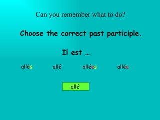 Can you remember what to do? Il est … allé s   allé allé e allé allé e s Choose the correct past participle. 