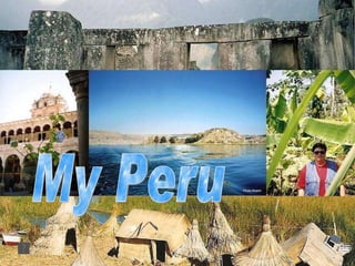 My Peru 