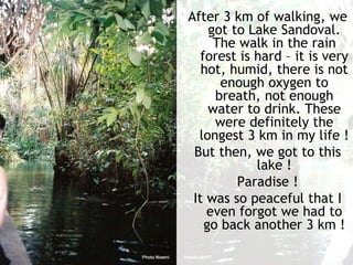 After 3 km of walking, we got to Lake Sandoval. The walk in the rain forest is hard – it is very hot, humid, there is not enough oxygen to breath, not enough water to drink. These were definitely the longest 3 km in my life ! But then, we got to this lake ! Paradise ! It was so peaceful that I even forgot we had to go back another 3 km ! 