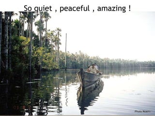 So quiet , peaceful , amazing ! 