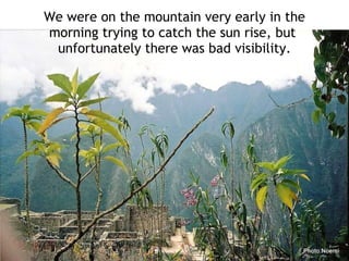 We were on the mountain very early in the morning trying to catch the sun rise, but  unfortunately there was bad visibility. 