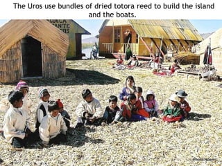The Uros use bundles of dried totora reed to build the island and the boats.  