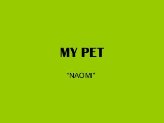 MY PET
“NAOMI”
 