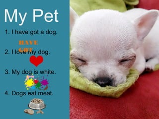 My Pet
1. I have got a dog.
2. I love my dog.
3. My dog is white.
4. Dogs eat meat.
HAVE
GOT
 