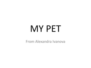 MY PET
From Alexandra Ivanova
 