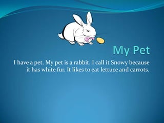 I have a pet. My pet is a rabbit. I call it Snowy because
     it has white fur. It likes to eat lettuce and carrots.
 