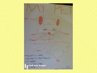 My pet 3º