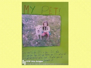 My pet 3º