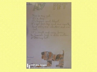 My pet 3º