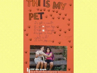 My pet 3º
