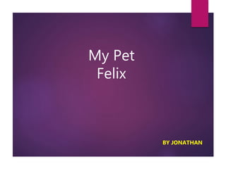 My Pet
Felix
BY JONATHAN
 