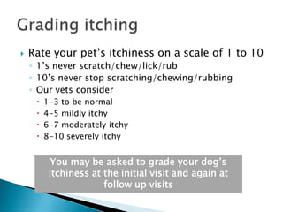    Rate your pet‘s itchiness on a scale of 1 to 10
    ◦ 1‘s never scratch/chew/lick/rub
    ◦ 10‘s never stop scratching/chewing/rubbing
    ◦ Our vets consider
        1-3 to be normal
        4-5 mildly itchy
        6-7 moderately itchy
        8-10 severely itchy


           You may be asked to grade your dog‘s
          itchiness at the initial visit and again at
                       follow up visits
 