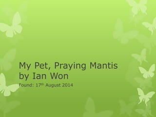 My Pet, Praying Mantis
by Ian Won
Found: 17th August 2014
 