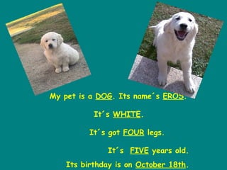 My pet is a DOG. Its name´s EROS.
It´s WHITE.
It´s got FOUR legs.
It´s FIVE years old.
Its birthday is on October 18th.
 